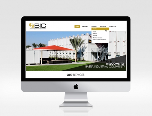 BIC- Custom Website Design & Development